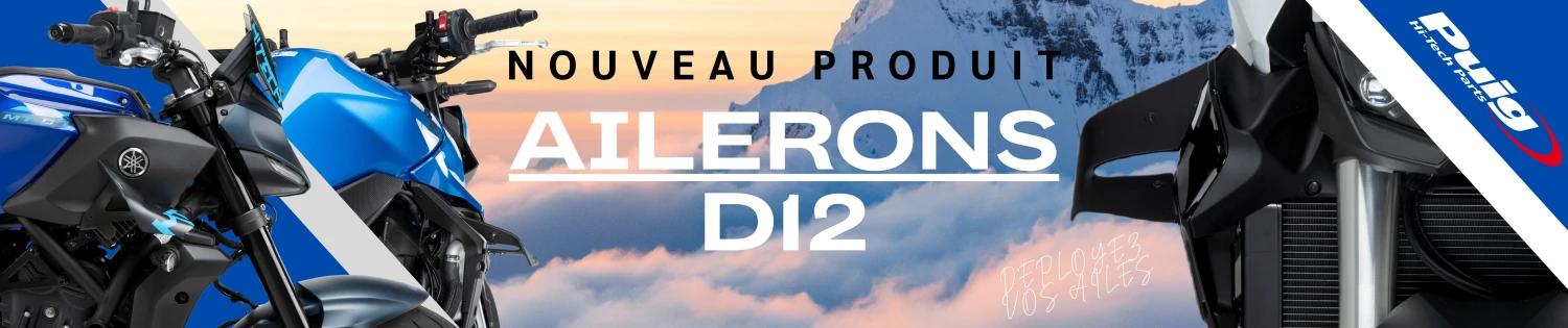 AILERONS D12
