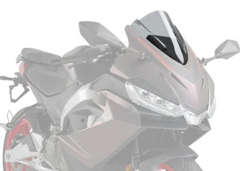Z-Racing Scheibe