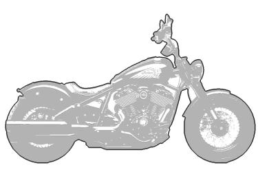 INDIAN CHIEF