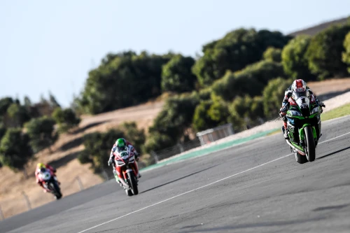 SUPER DOUBLE FOR REA AND KRT