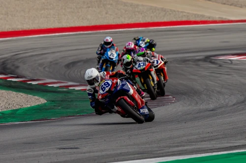 Gran debut d’Archie McDonald amb el Team Laglisse al Campionat d’Europa de Stock